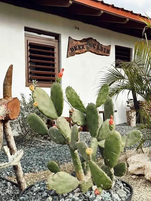 Deer Cabin- Cabana Del Venado Villa San Sebastian 0*,  Puerto Rico