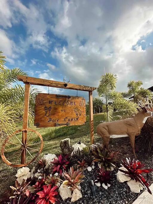 Deer Cabin- Cabana Del Venado Villa San Sebastian